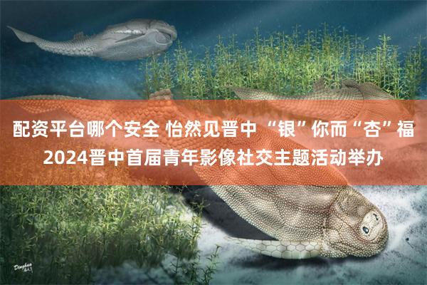 配资平台哪个安全 怡然见晋中 “银”你而“杏”福2024晋中首届青年影像社交主题活动举办