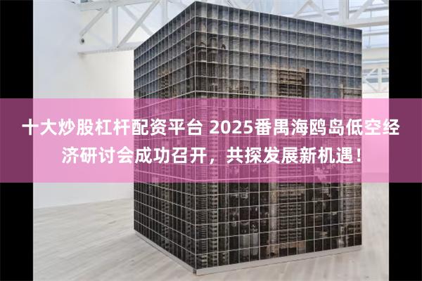 十大炒股杠杆配资平台 2025番禺海鸥岛低空经济研讨会成功召开，共探发展新机遇！