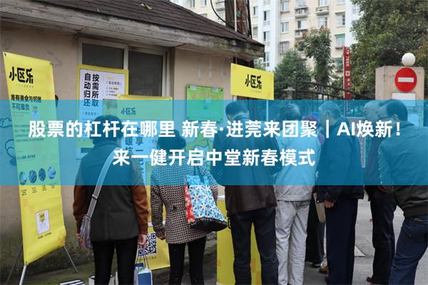 股票的杠杆在哪里 新春·进莞来团聚｜AI焕新！来一健开启中堂新春模式