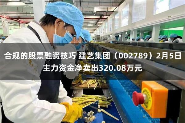 合规的股票融资技巧 建艺集团（002789）2月5日主力资金净卖出320.08万元