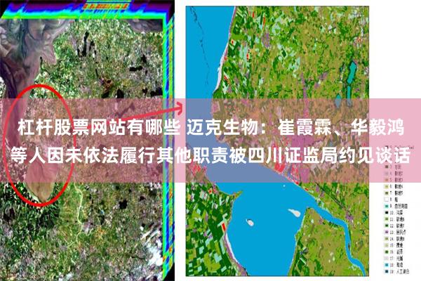 杠杆股票网站有哪些 迈克生物：崔霞霖、华毅鸿等人因未依法履行其他职责被四川证监局约见谈话