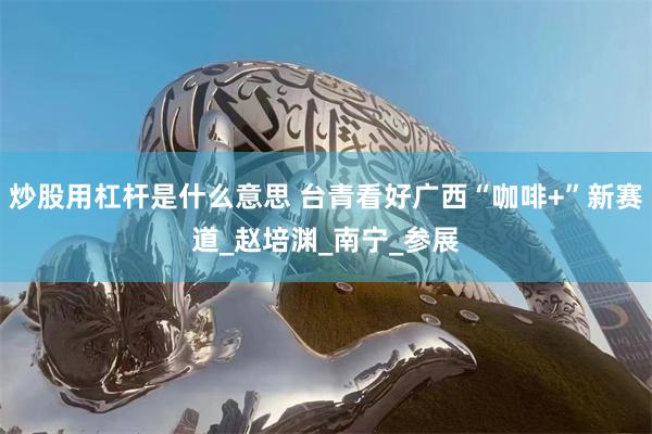 炒股用杠杆是什么意思 台青看好广西“咖啡+”新赛道_赵培渊_南宁_参展