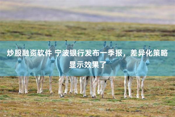 炒股融资软件 宁波银行发布一季报，差异化策略显示效果了