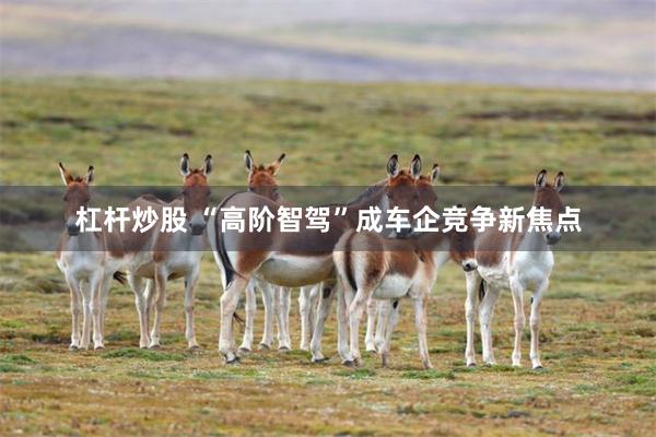 杠杆炒股 “高阶智驾”成车企竞争新焦点