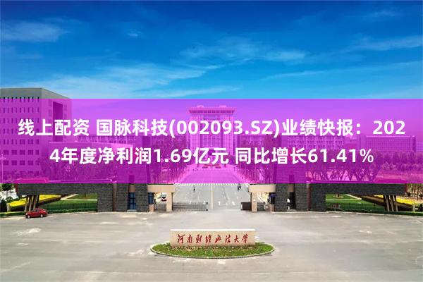 线上配资 国脉科技(002093.SZ)业绩快报：2024年度净利润1.69亿元 同比增长61.41%