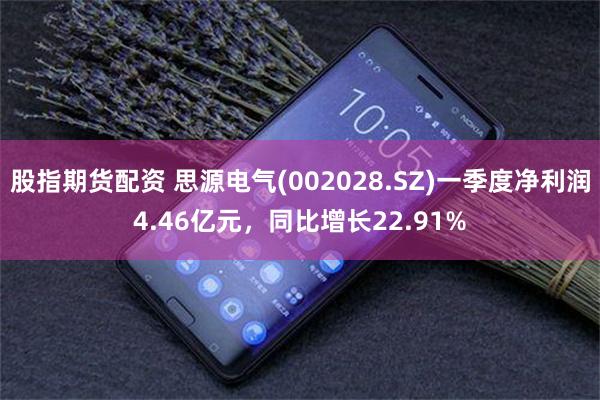 股指期货配资 思源电气(002028.SZ)一季度净利润4.46亿元，同比增长22.91%