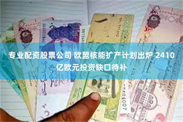 专业配资股票公司 欧盟核能扩产计划出炉 2410亿欧元投资缺口待补