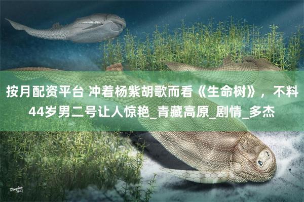 按月配资平台 冲着杨紫胡歌而看《生命树》，不料44岁男二号让人惊艳_青藏高原_剧情_多杰