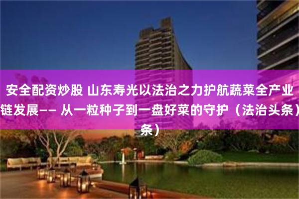安全配资炒股 山东寿光以法治之力护航蔬菜全产业链发展—— 从一粒种子到一盘好菜的守护（法治头条）