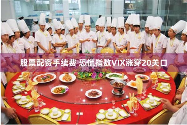 股票配资手续费 恐慌指数VIX涨穿20关口