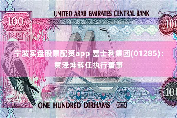 宁波实盘股票配资app 嘉士利集团(01285)：黄泽坤辞任执行董事