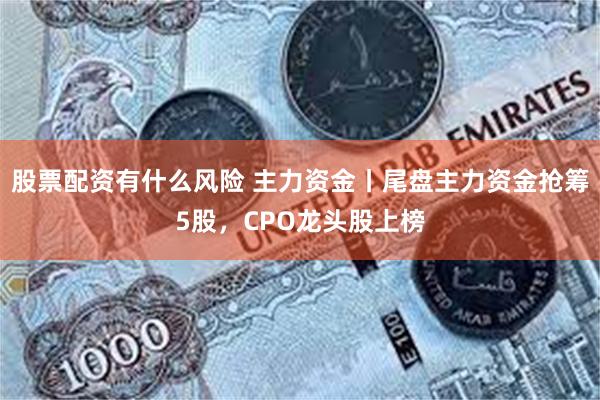 股票配资有什么风险 主力资金丨尾盘主力资金抢筹5股，CPO龙头股上榜