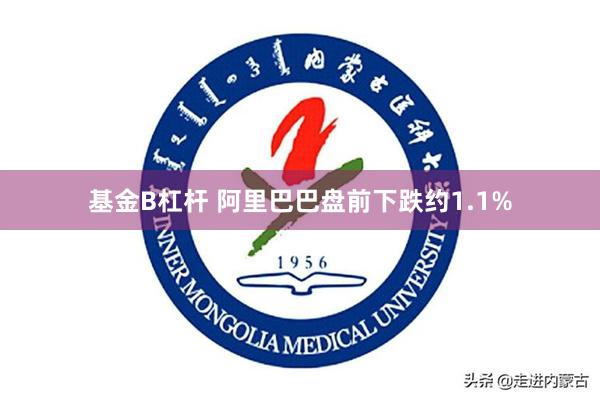 基金B杠杆 阿里巴巴盘前下跌约1.1%