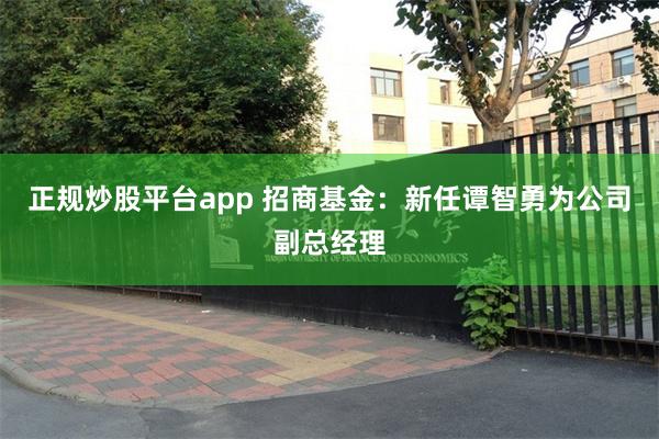 正规炒股平台app 招商基金:新任谭智勇为公司副总经理