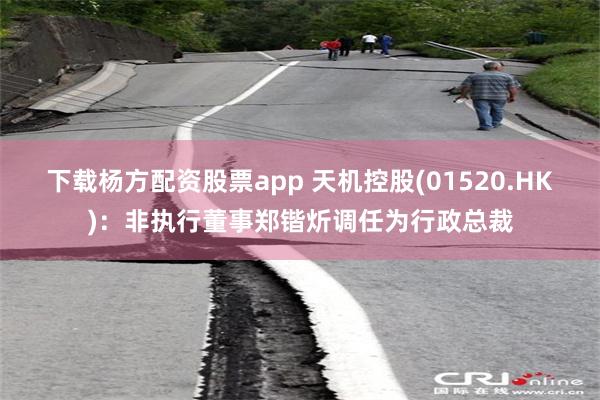 下载杨方配资股票app 天机控股(01520.HK)：非执行董事郑锴炘调任为行政总裁